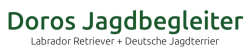 Mobile Logo